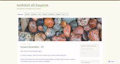 Desktop Screenshot of mehmetalibasaran.com
